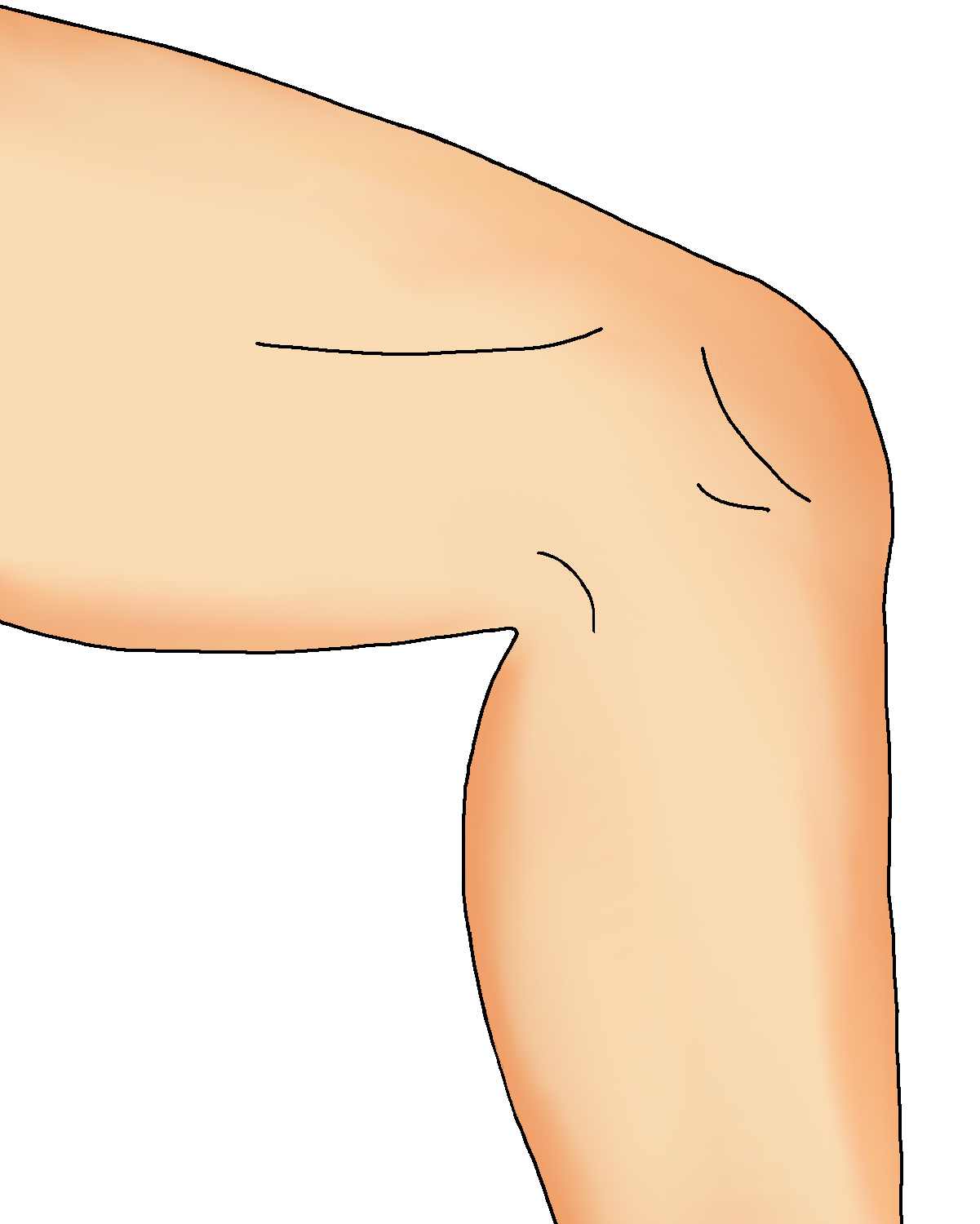 Knie